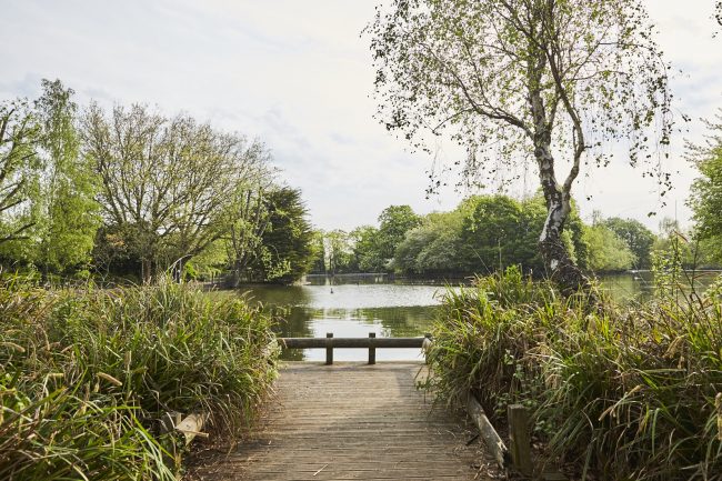 Ally Pally Lake