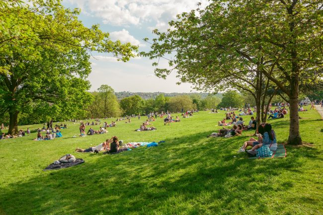 Ally Pally Park