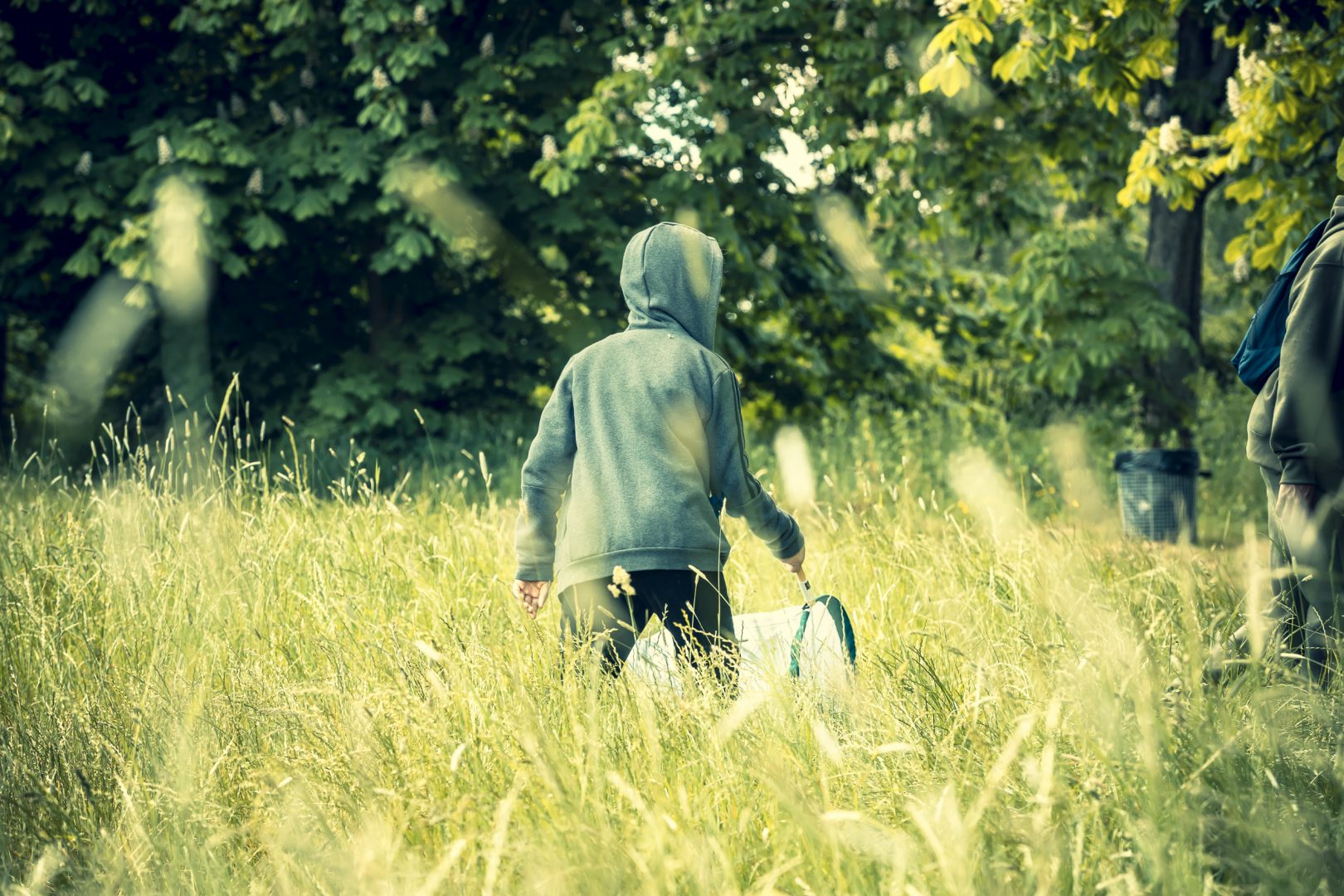 WILD IN THE PARK - Alexandra Palace