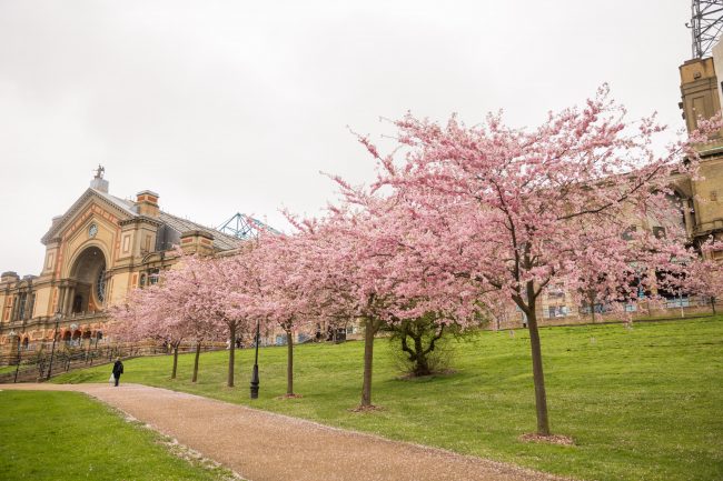 Ally Pally Park Building and Trees