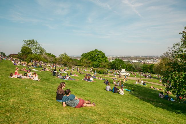 Ally Pally Park and Panoramic View